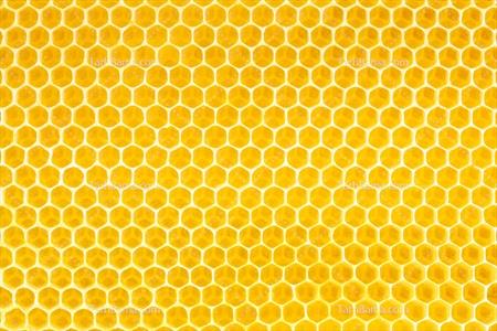 تصویر با کیفیت کدو عسل زرد